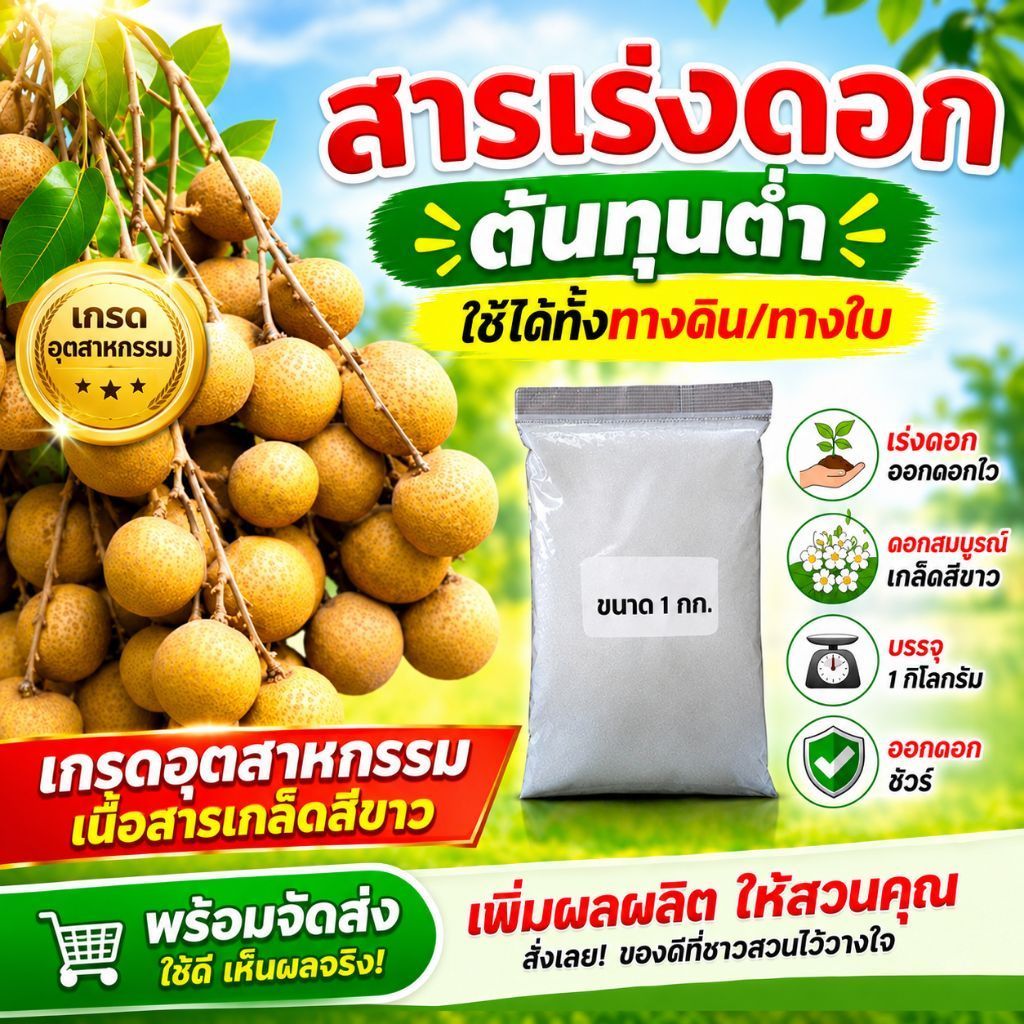 สารเร่งดอกลำไยต้นทุนต่ำ ใช้พ่นทางใบหรือราดทางดินก็ได้ ใช้แล้วได้ผล 100%
