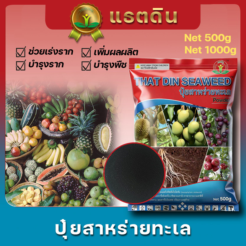 500G/1KG สาหร่ายทะเล สาหร่ายผงสกัด สาหร่ายพืช ช่วยเร่งการเจริญเติบโต เพิ่มน้ำหนักผล เร่งแตกดอก / Seaweed extract powder ราคา ถูกที่สุด ดีลบีเคเค