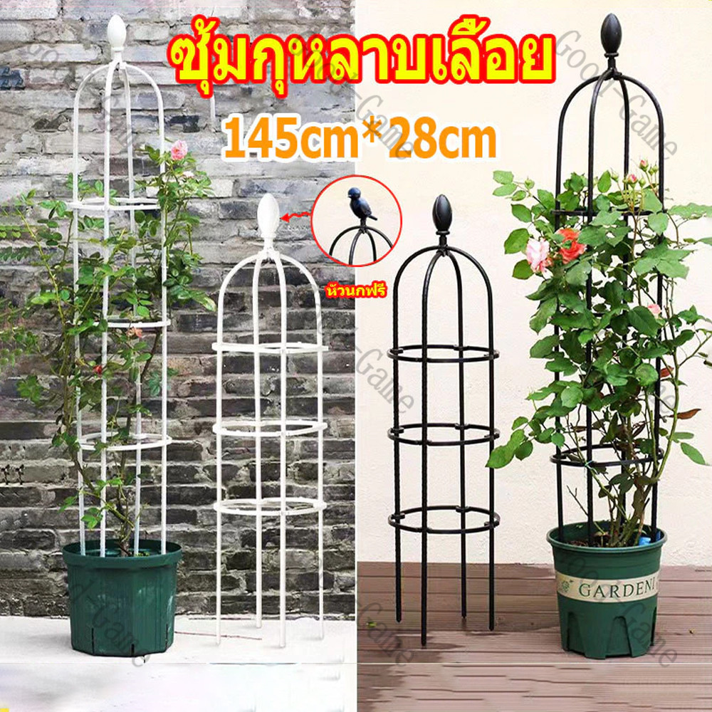 รหลาบเลื้อย ซุ้มไม้เลื้อย เหล็กแข็งแรง ท่อเหล็กเคลือบ PE กันสนิม กระถางต้น