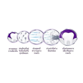 Sensodyne Rapid Action / รีแพร์ & โพรเทคท์ ไวท์เทนนิ่ง / sensitive gum 100 กรัม