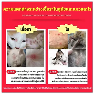 สเปรย์รักษาโรคเรื้อน รักษาโรคผิวหนังสัตว์เลี้ยง ยารักษาเชื้อราสุนัขและแมว สเปรย์รักษาเชื้อราแมว น้ำยารักษาเชื้อราแมว