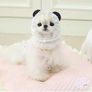 (พร้อมส่ง🇹🇭) หมวกคลุมขนสุนัข กันเปื้อนสุนัข dog snoods