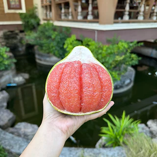 ส้มโอทับทิมสยามปากพนัง ( 1ลูก ) จากสวนป้าเล็กขี้ลืม
