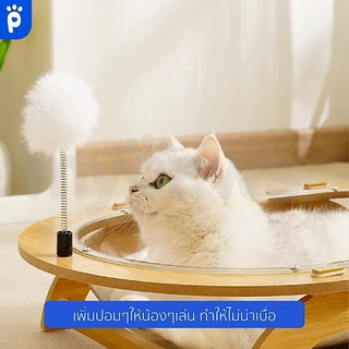 [🔥Clearance Sale]My Paws ที่นอนแมว หลุมอวกาศ มีปอมๆให้เล่น หลุมแมว แบบวงรี ยาวถึง60ซม.