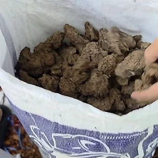 ขี้วัวนมแท้100% ยกกระสอบ น้ำหนักประมาณ10kg.