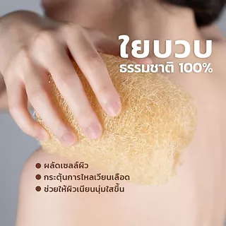 ใยบวบขัดผิวด้ามไม้ ธรรมชาติ100% ใยบวบขัดหลัง ขัดตัว ใยบวบ ใช้ทำความสะอาดผิวกาย ขัดหลัง แปรงอาบน้ำ ขัดขี้ไคล ใยบวบPT