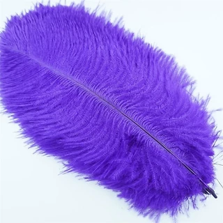 ขนนกกระจอกเทศ ยาว 20-24cm เส้นละ 16บาท