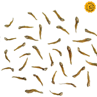 Jelly Pet Anchovy ปลาแอนโชวี่ ปลากะตัก ปลาแมว ไม่เค็ม ขนมสุนัข ขนมหมา ขนมแมว