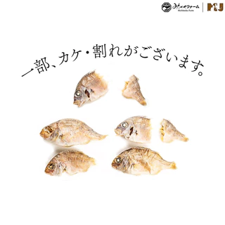 Small Red Sea Bream 50g. มิชิโนกุฟาร์มปลามาได หรือ ปลากะพงแดงญี่ปุ่น จากจังหวัดโคชิประเทศญี่ปุ่น