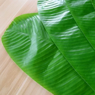 ใบบัวเทียม 38 ซม รองจาน ใส่อาหาร ใช้ในร้านอาหาร คาเฟ่ ตกแต่งมุมถ่ายรูป
