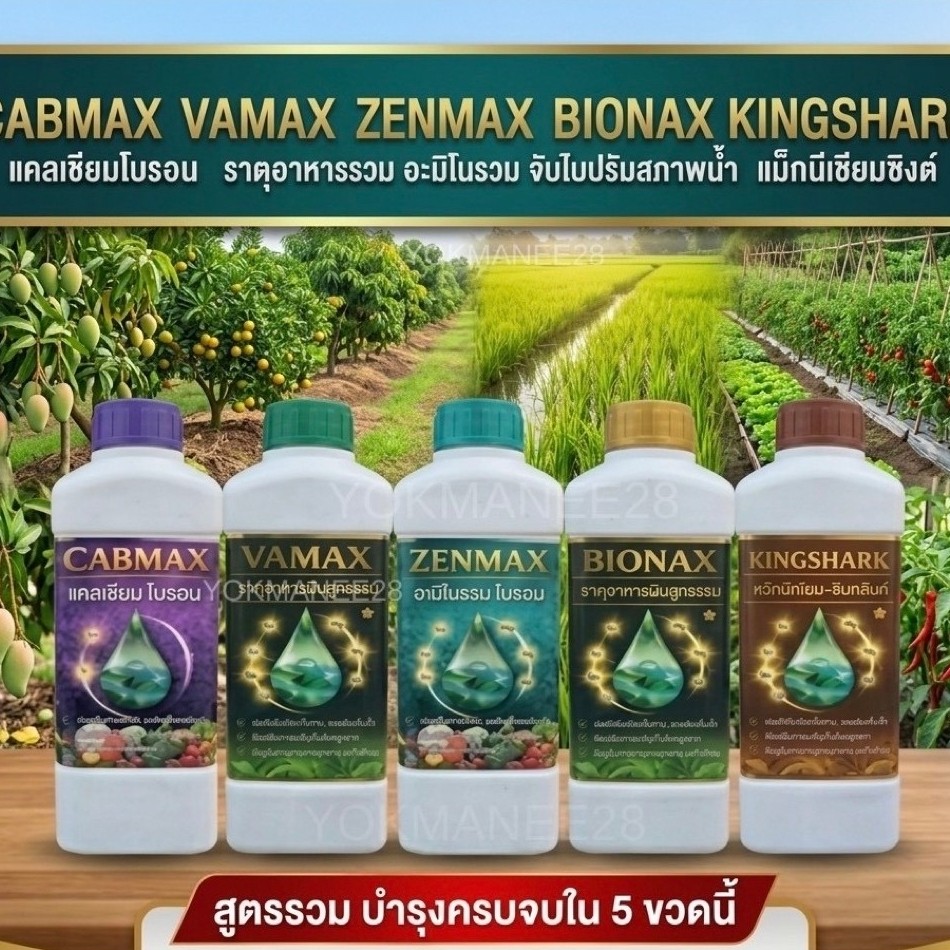 (C1+V1+B1+Z1+K1) ปุ๋ยน้ำ 5 สูตรรวม แคลเซียมโบรอน + อะมิโนรวม + ธาตุอาหารพืชรวม + จับใบปรับสภาพน้ำ