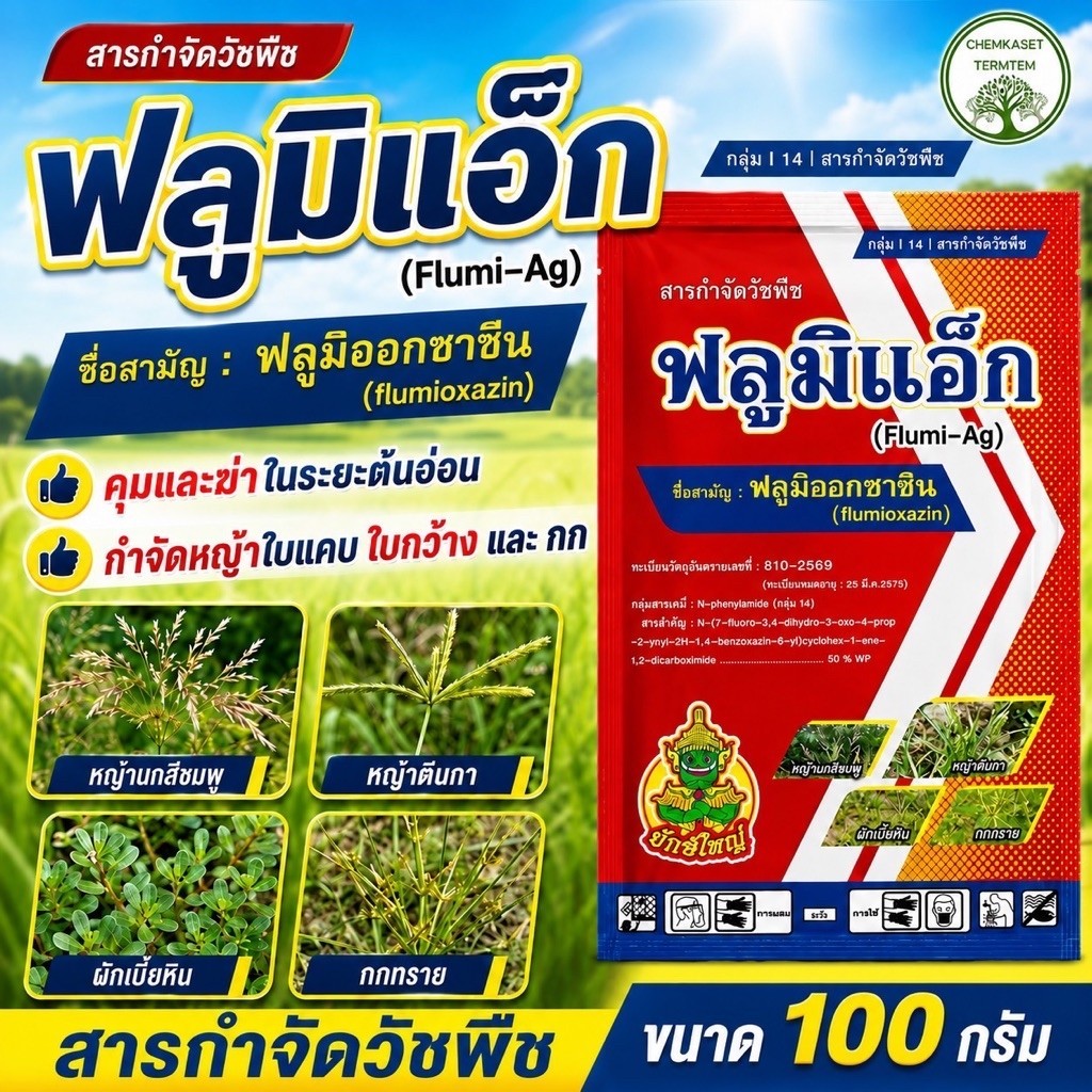 ฟลูมิแอ็ก บ. แอ็กโกร 100 กรัม ควบคุมวัชพืชทั้งใบแคบและใบกว้าง ขนาด 100 กรัม (ฟลูมิออกซาซิน 50% WP)