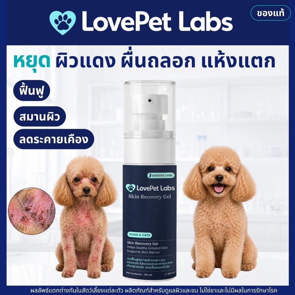เจลบำรุงผิวสุนัขและแมว สำหรับผิวแดง แห้งลอก คัน แผลถลอก สูตรอ่อนโยน | ช่วยลดยีสต์ เชื้อรา แบคทีเรียสะสม