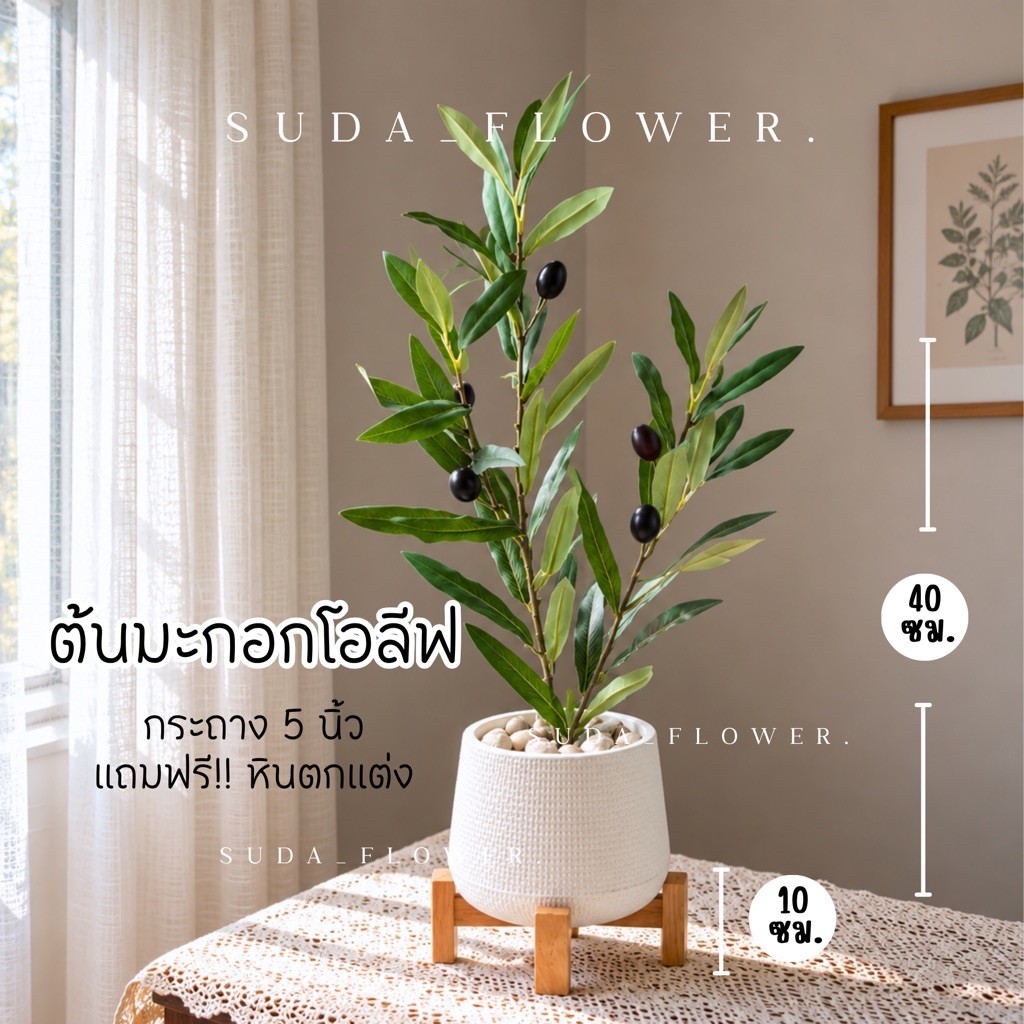 มะกอกโอลีฟมินิเสมือนจริง (OLIVE TREE) สูง 40-50 ซม. ฟรี!!หินตกแต่ง ต้นไม้ปลอมตกแต่งบ้านมินิมอลง