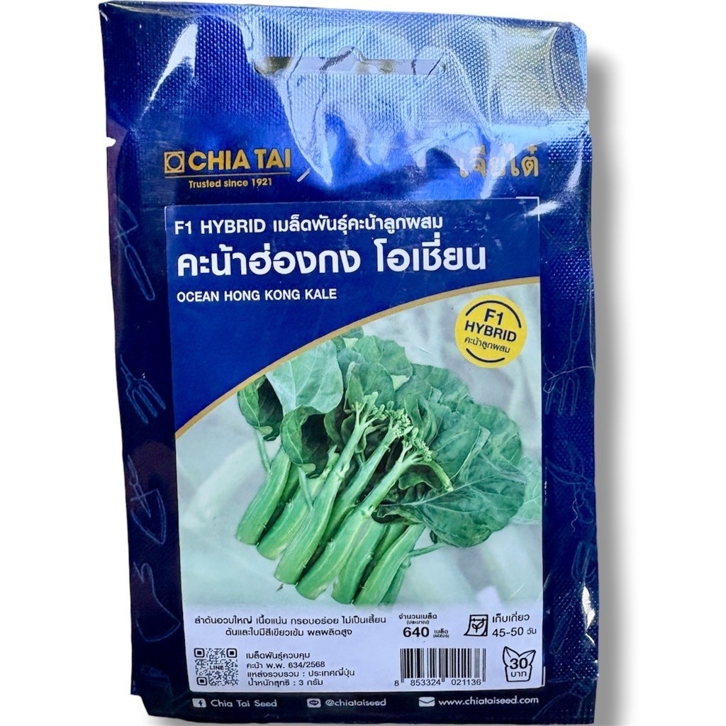 เจียไต๋ คะน้าฮ่องกง โอเชี่ยน (ประมาณ 640 เมล็ด)