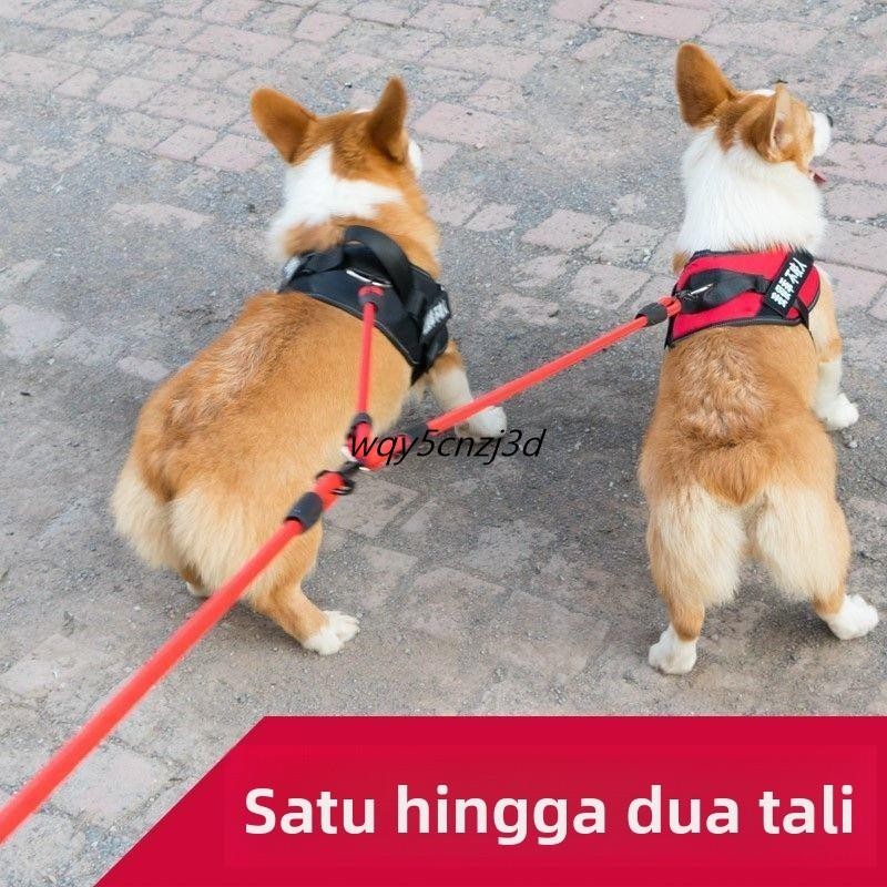 One Draw Two Leash 2m Pet Double-Headed Retractable Dogs Two Dogs Two-In-One Dog Walking Leash