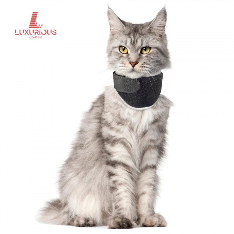 ขายดี อุปกรณ์ป้องกันสัตว์เลี้ยง ปลอกคอแมว สายรัดรองรับการบาดเจ็บที่คอแมว 9FVP