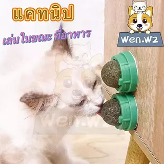 Wen.W2กัญชาแมว หญ้าแมว กันชาแมว แคทนิปแมว catnip ball กันชาแมวเลีย แคทนิปบอล ติดกำแพง