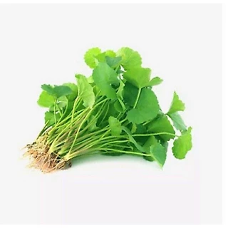 เมล็ดใบบัวบก(ผักหนอก) 0.5 กรัม (5แถม1คละได้)