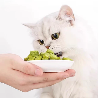 หญ้าแมวฟรีซดราย 500 กรัม Pawtique หญ้าแมวผสมอกไก่ Freeze Dried 100% ขนมแมว ขนมฟรีซดราย 500g