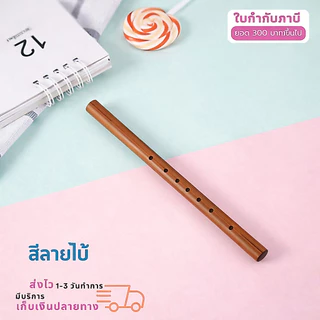 ขลุ่ย ขลุ่ยเพียงออพลาสติก (มี2สีให้เลือก )
