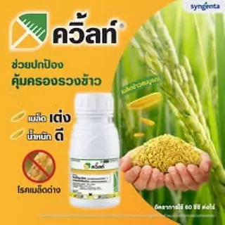 ควิ้ลท์(สารอามูเร่+ออติวา) 500 มล.กำจัดโรคเมล็ดด่าง โรคกาบใบแห้ง 1 ขวด ได้ 8-10 ไร่