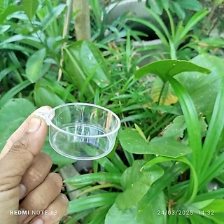 อ่างอาบน้ำและถ้วยใส่อาหาร นกชมพู่สวน นกกินปลี