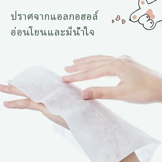 [80 เม็ด/แพ็ค] ผ้าเช็ดทำความสะอาดสัตว์เลี้ยง ผ้าเช็ดแมว ผ้าเช็ดสุนัข ผ้าเช็ดทำความสะอาด ผ้าเช็ดกำจัดกลิ่นและฆ่าเชื้อ