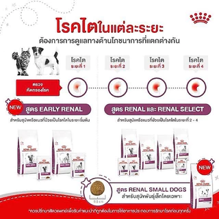 *แบ่งขาย* Royal Canin Renal อาหารแมวป่วยโรคไต (ครบ 3 สูตร) ของใหม่ แพ็คใหม่ ส่งไวมาก