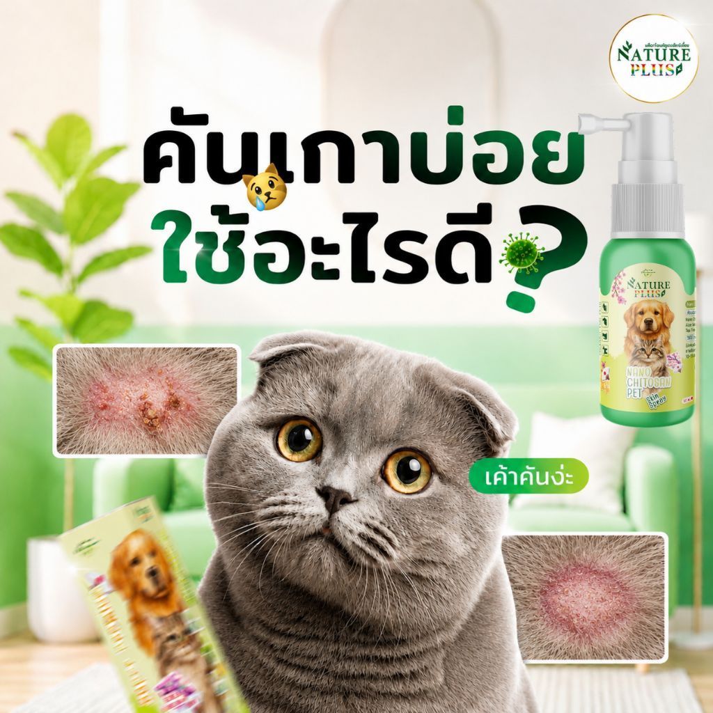สินค้าขายดี สเปรย์นาโนไคโตซานพลัส สูตรใหม่ ดูแลผิวหนังและเส้นขนสัตว์เลี้ยง ช่วยปลอบประโลมผิวหนัง บำรุงขนร่วง ลดคันเกา