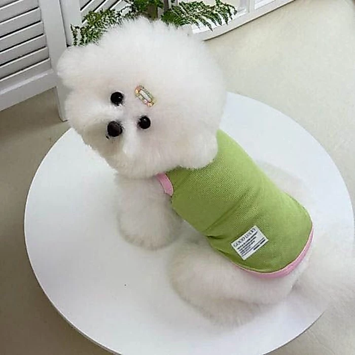 [คลังสินค้าพร้อม] แมวน้ําแข็งผ้าไหมสีจับคู่ปกเสื้อกั๊กฤดูร้อนคู่สไตล์เสื้อผ้าสุนัข thumbnail 6