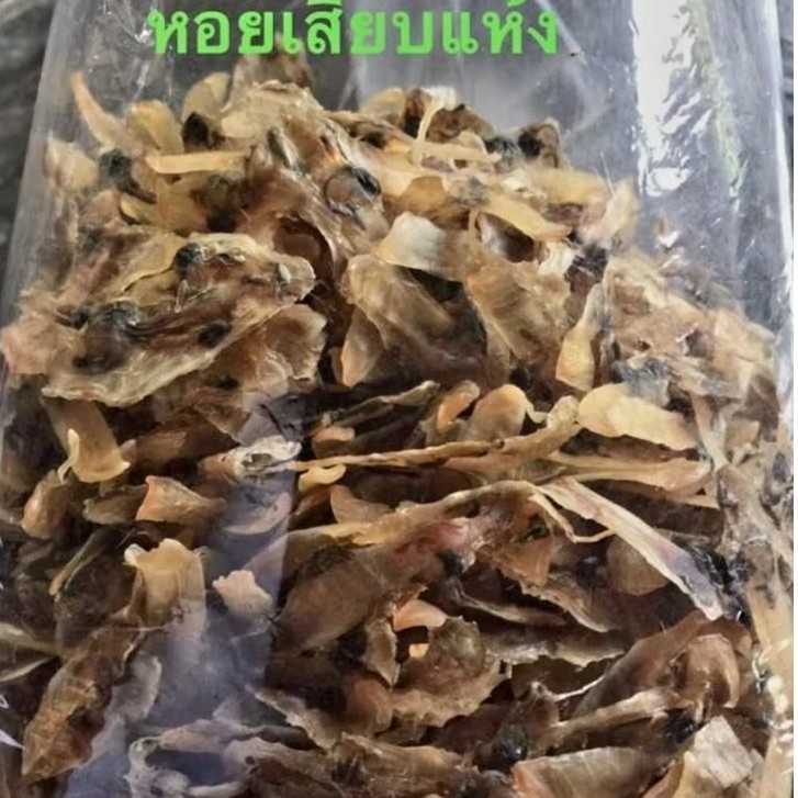 #หอยเสียบแห้ง #หอยเสียบแดดเดียว