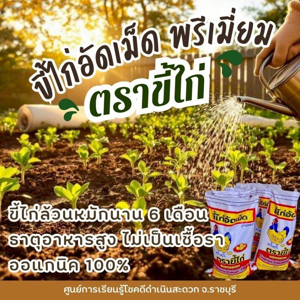 ขี้ไก่อัดเม็ด ตราขี้ไก่ (เลือกขนาดด้านในค่ะ) ผลิตจากขี้ไก่สดแท้ 100%