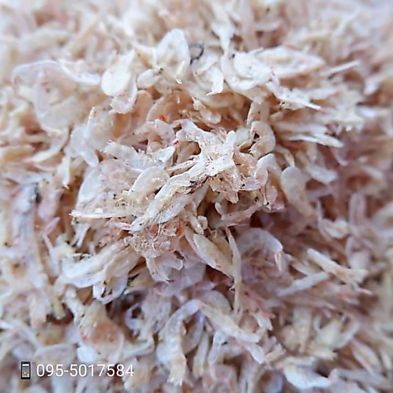 กุ้งฝอยขาวจืด/ปลอดสาร/ไม่ใส่สี ขนาด500กรัม
