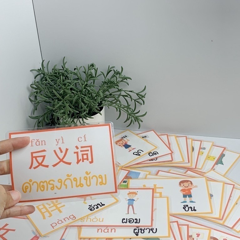 บัตรคำศัพท์ภาษาจีน หมวดคำตรงกันข้าม 41 คำ | 20 คู่ | สื่อการสอนจีน | JEENWITHME