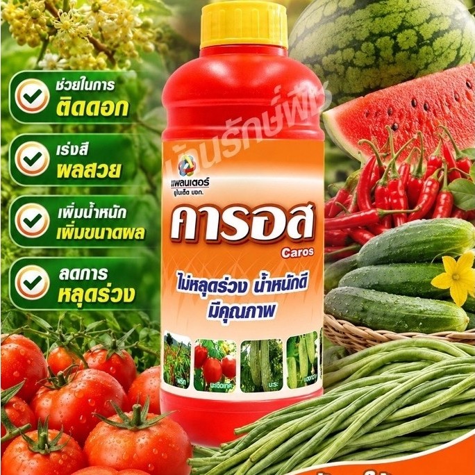 คารอส Caros เร่งผลอ่อน เพิ่มขนาด ดอกดก น้ำหนักดี หลดการหลุดร่วง
