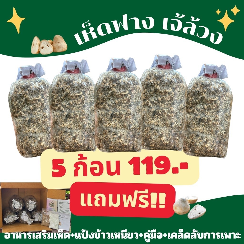เชื้อเห็ดฟาง 5 ก้อน 119 บาท แถมฟรี!! อาหารเสริมเห็ด+แป้งข้าวเหนียว+คู่มือ+เคล็ดลับการเพาะ