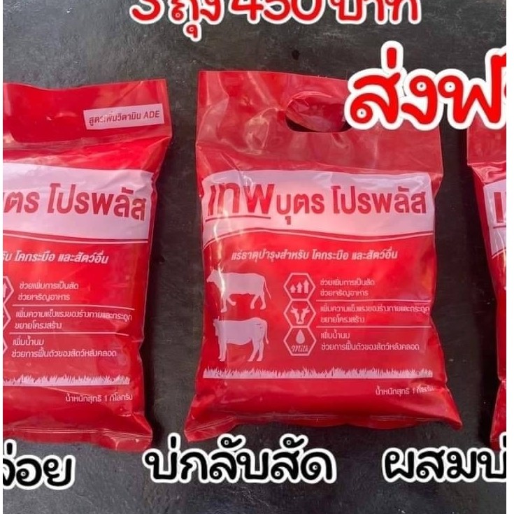 เทพบุตรโปรพลัสADE/3กก. แร่ธาตุบำรุงสัตว์