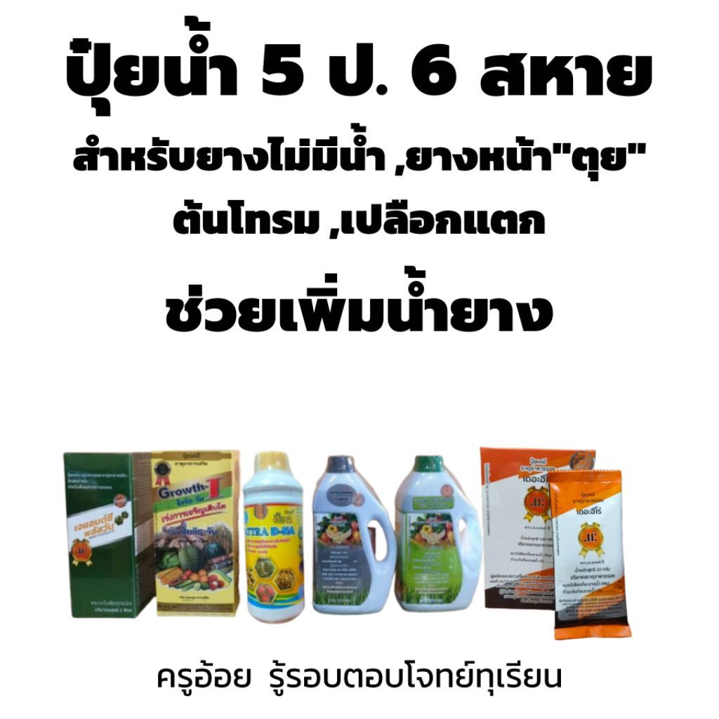 ￼￼ปุ๋ยน้ำ 5ป.6 สหาย ปุ๋ยเพิ่มน้ำยางพารา แก้ยางหน้าตุย,เปลือกแตกใช้กับยางพารา 1 ชุด มี 6อย่าง￼￼￼