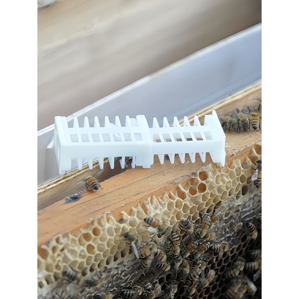 🔥พร้อมส่ง🔥กล่องขังนางพญาผึ้ง🐝 ป้องกันนางพญาหนีรังขัง อุปกรณ์เลี้ยงผึ้ง  กล่องกัก นางพญา ผึ้ง