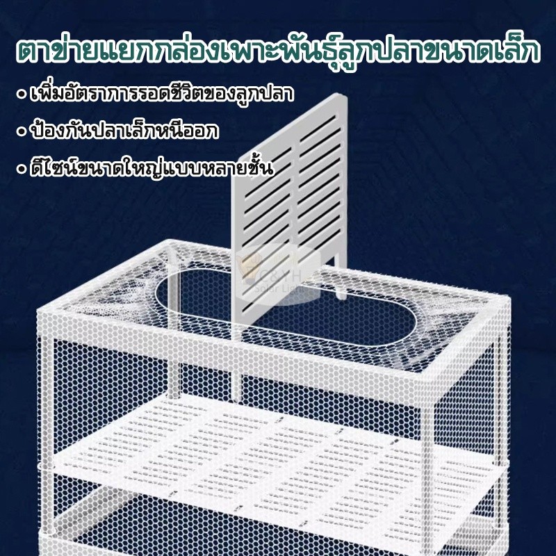 กล่องเพาะพันธุ์ปลาหางนกยูง วัสดุโปร่งใสทนทาน ช่วยเพิ่มอัตราการรอดชีวิตลูกปลา ใช้งานง่าย หลายขนาดให้เลือก