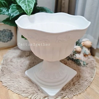 กระถางโรมันทรงอ่างบัวขอบหยัก ขนาด10"-16" พร้อมฐานรอง สำหรับเลี้ยงปลาและปลูกบัว จัดไม้ประดิษฐ์ พานพุ่ม