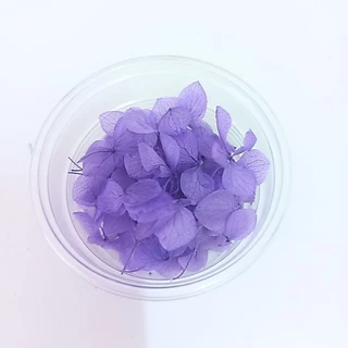 กลีบไฮเดรนเยียอบแห้ง ดอกไม้แห้งพร้อมส่ง มีหลายสีให้เลือก