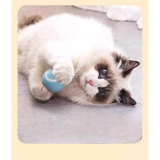 ⚡ ลูกบอลอัจฉริยะกลิ้งเองได้! 🐾 ของเล่นแมว/สุนัข สุดล้ำ 🐕‍🦺🐱 เพิ่มความสนุก กระตุ้นการเคลื่อนไหว! ✨