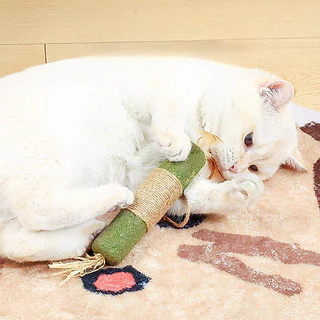 AimayaPet ไม้แมวเมา ไม้มาทาทาบิ ขัดฟันแมว ไม้ขัดฟัน ลดคราบหินปูน ของเล่นแมว ไม้แปรงฟันแมว