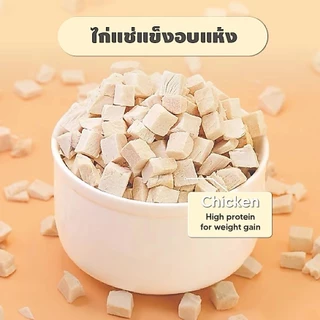ขนมฟรีซดราย ไก่ฟรีซดราย แซลมอนฟรีซดราย ขนมแมว ขนมหมา Freeze Dried for Cat & Dog