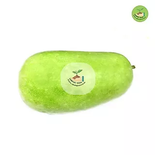 พิเศษ9บาท เมล็ดพันธุ์ฟักแฟง 20 เมล็ด