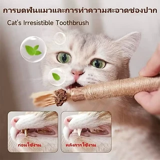 ของเล่นไม้ สําหรับสัตว์เลี้ยง แมว ไม้ขัดฟัน ลดคราบหินปูน ของเล่นสำหรับ ไม้แมวเมา อันใหญ่ ไม้ขัดฟันแมว