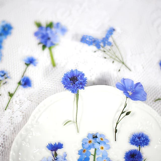Journamm 40 ชิ้น/แพ็ค PET ดอกไม้สติกเกอร์พืช Daisy Decor เครื่องเขียนสําหรับ Junk Journal DIY Scrapbooking ป้ายสติกเกอร์