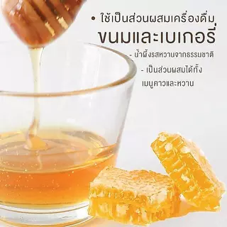 น้ำผึ้งแท้ น้ำผึ้งเกสรดอกไม้ป่า Honey Syrup แบบแกลอน สำหรับเครื่องดื่ม ชา กาแฟ เบเกอรี่ น้ำผึ้งมะนาว ขนาด 4 kg ทีอีเอ